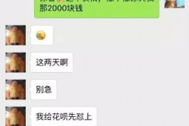 新安融资清欠服务